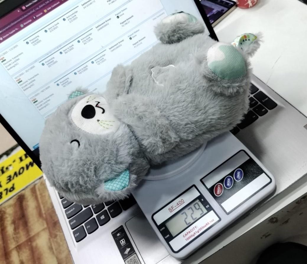 Breathing Teddy Bear